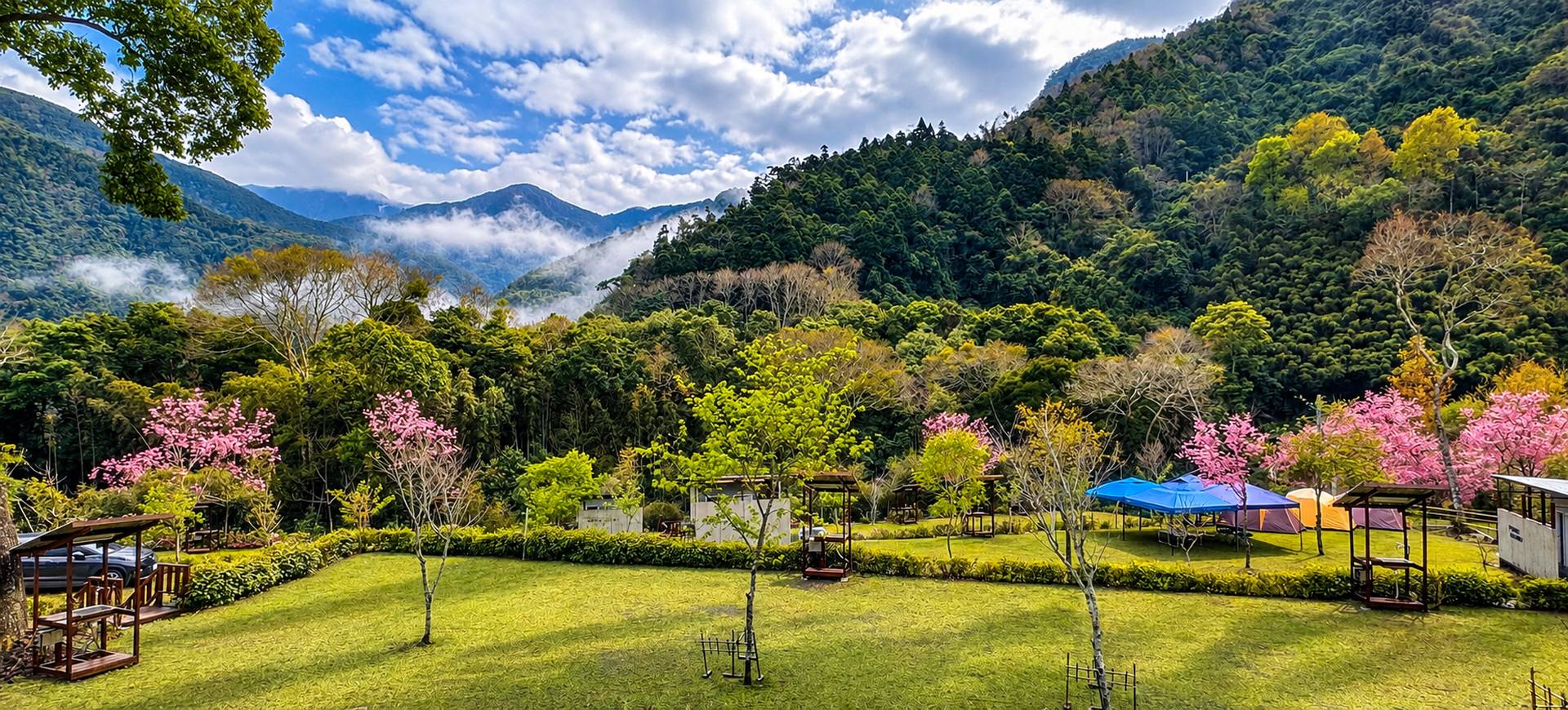 新竹露營區-鹿林道山嵐櫻花-雲霧繚繞營地全景