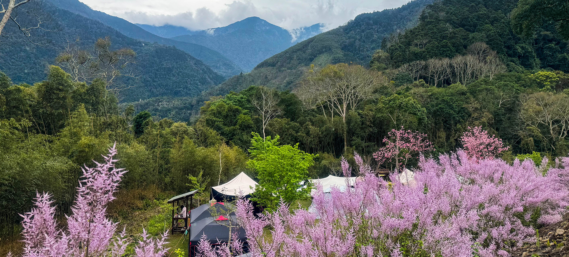 新竹五峰露營-鹿林道山嵐雲霧-谷地帳篷營地