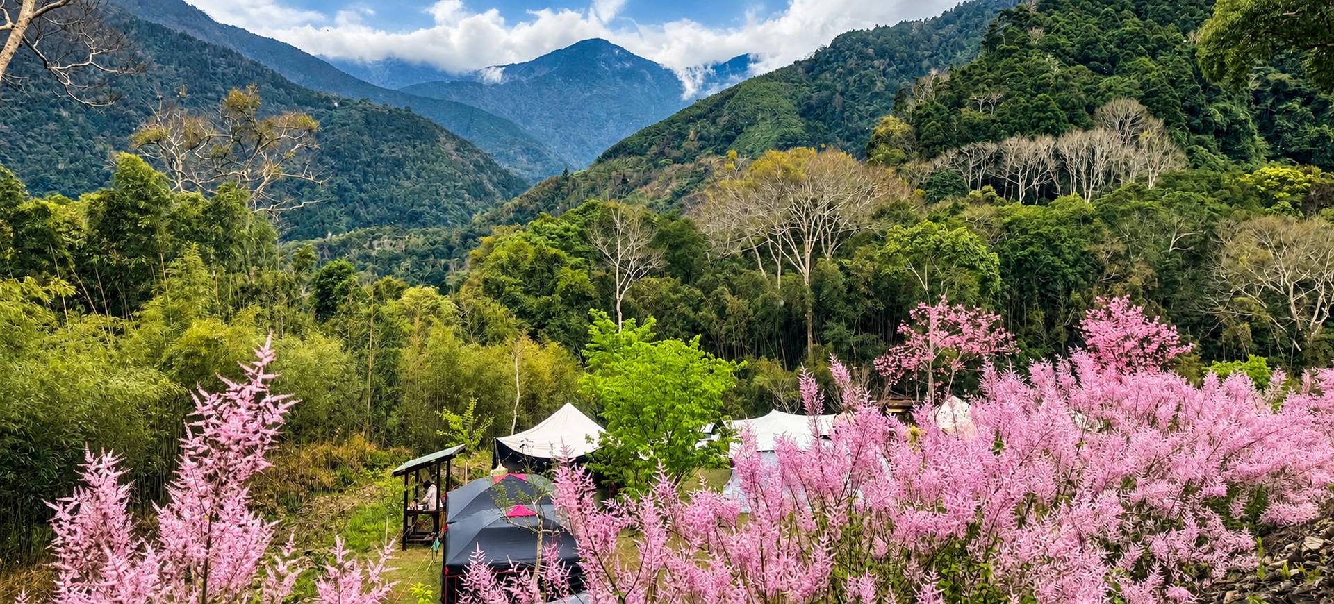 新竹五峰露營-鹿林道山嵐雲霧-谷地帳篷營地